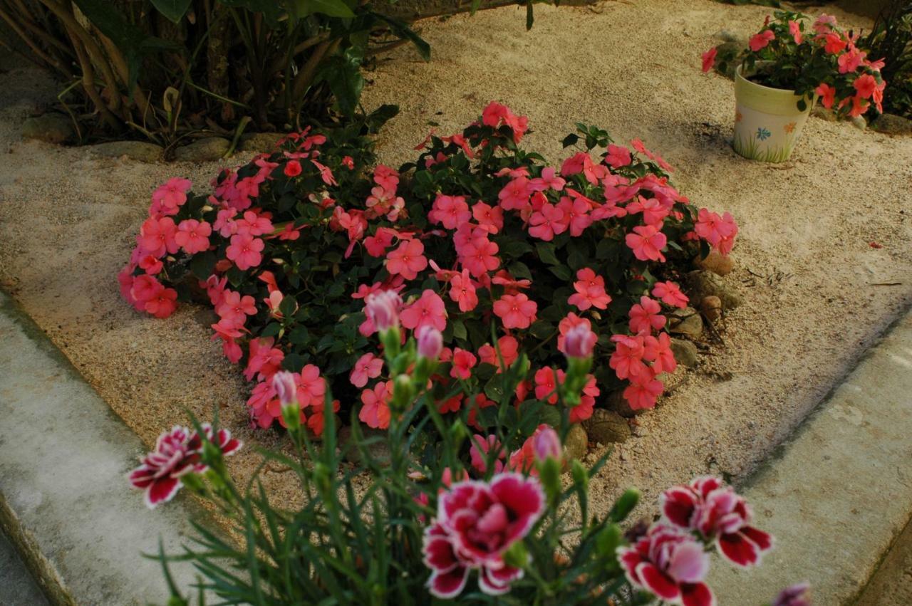 מאלינסקה House Villa Mare מראה חיצוני תמונה