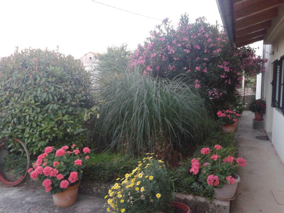 מאלינסקה House Villa Mare מראה חיצוני תמונה